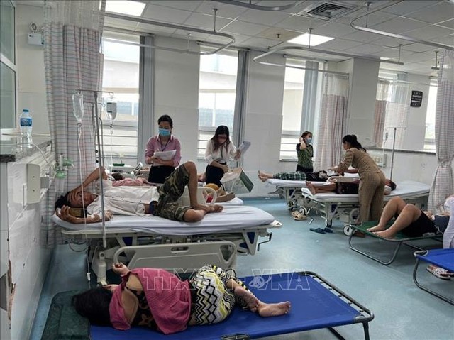 Tăng cường phòng ngừa ngộ độc thực phẩm do vi khuẩn Salmonella- Ảnh 1.