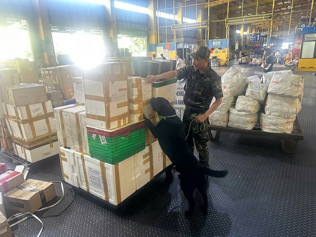 Hải quan khu vực I: Cao điểm chống buôn lậu dịp Tết- Ảnh 1.