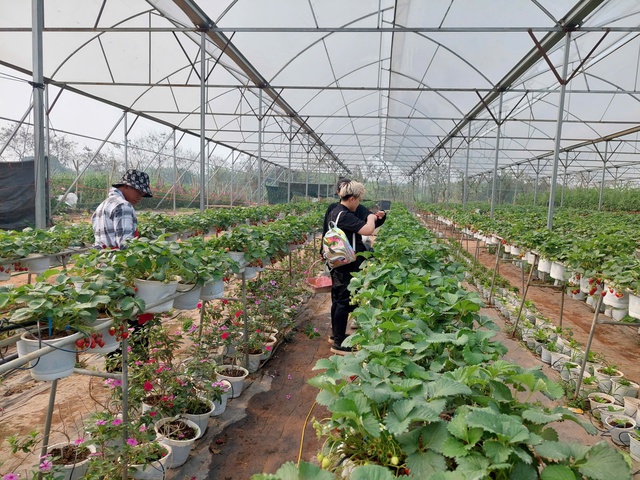 Hà Nội đẩy mạnh xây dựng nền nông nghiệp an toàn, hiện đại và bền vững- Ảnh 1.