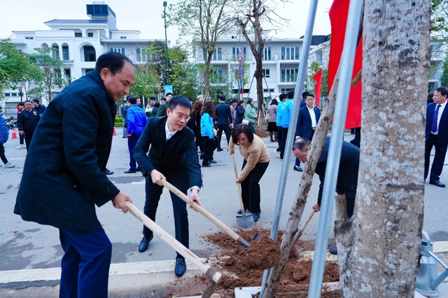 Hà Nội: Nhiều địa phương hưởng ứng Tết trồng cây Xuân Ất Tỵ- Ảnh 1.