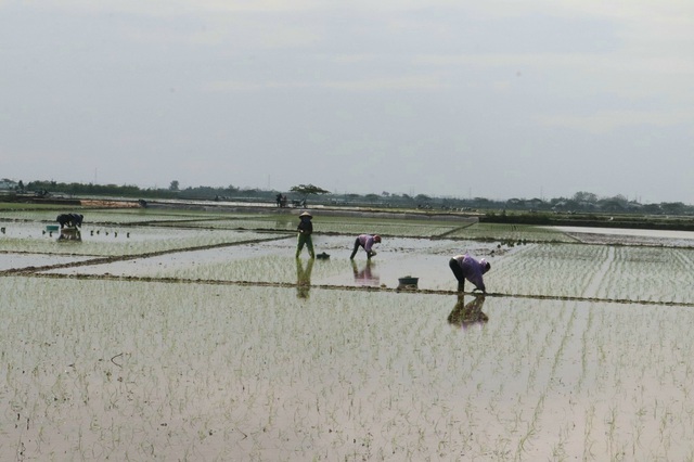 Tập trung vận hành lấy nước phục vụ gieo cấy vụ xuân- Ảnh 1.