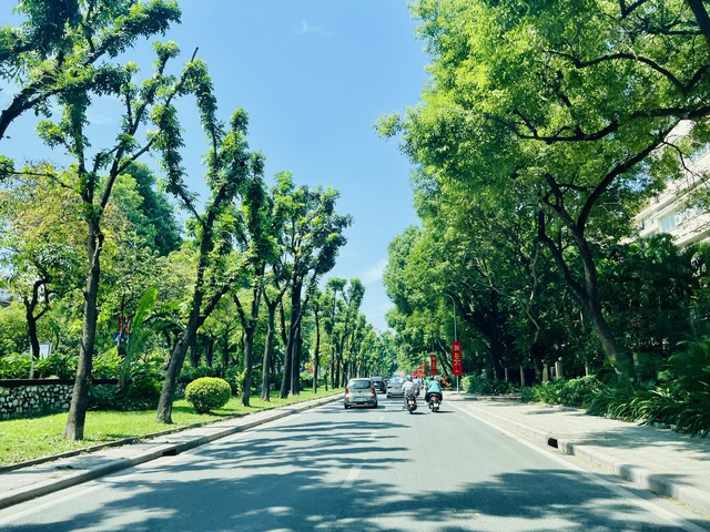 Các địa phương hoàn thành tốt nhiệm vụ phát triển, chỉnh trang và tái thiết đô thị- Ảnh 1. Các địa phương hoàn thành tốt nhiệm vụ phát triển, chỉnh trang và tái thiết đô thị- Ảnh 1.