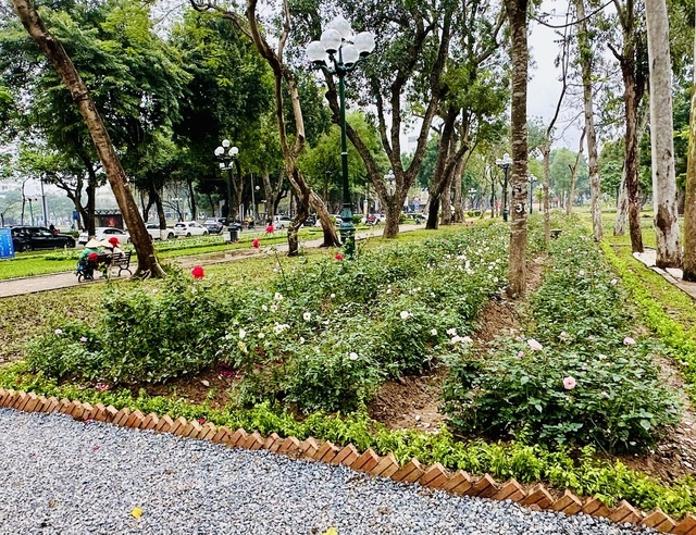 Hoàn thiện sớm dự án cải tạo công viên Thống Nhất, chào mừng ngày lễ 30/4 và 1/5- Ảnh 2. Hoàn thiện sớm dự án cải tạo công viên Thống Nhất, chào mừng ngày lễ 30/4 và 1/5- Ảnh 2.