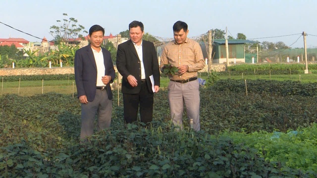 Cùng nông dân phát triển kinh tế nông nghiệp hiệu quả, khoa học- Ảnh 2. Cùng nông dân phát triển kinh tế nông nghiệp hiệu quả, khoa học- Ảnh 2.