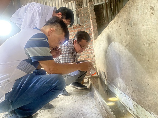 Vệ sinh môi trường để phòng chống dịch sốt xuất huyết hiệu quả- Ảnh 1. Vệ sinh môi trường để phòng chống dịch sốt xuất huyết hiệu quả- Ảnh 1.
