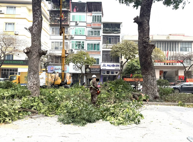 Sẵn sàng các phương án phòng ngừa và ứng phó với mùa mưa bão- Ảnh 1. Sẵn sàng các phương án phòng ngừa và ứng phó với mùa mưa bão- Ảnh 1.