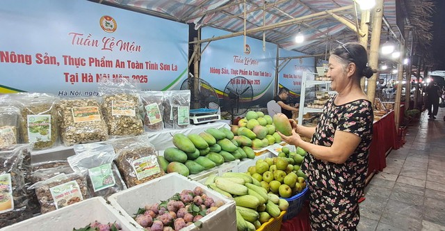 Quảng bá mận và nông sản an toàn tỉnh Sơn La đến người dân Thủ đô- Ảnh 2. Quảng bá mận và nông sản an toàn tỉnh Sơn La đến người dân Thủ đô- Ảnh 2.