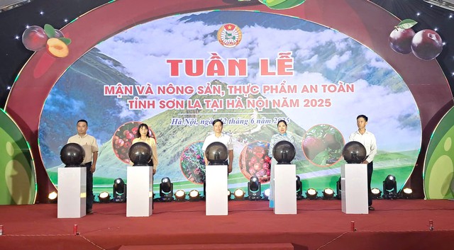 Quảng bá mận và nông sản an toàn tỉnh Sơn La đến người dân Thủ đô- Ảnh 1. Quảng bá mận và nông sản an toàn tỉnh Sơn La đến người dân Thủ đô- Ảnh 1.