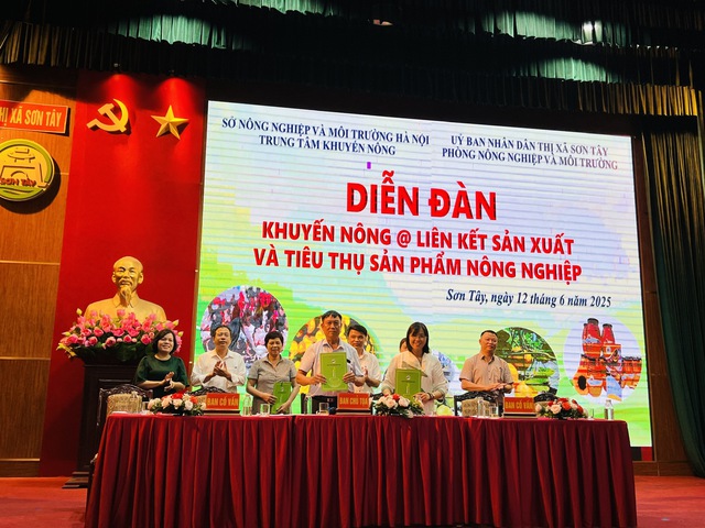 Đẩy mạnh xúc tiến thương mại liên kết sản xuất cùng bà con nông dân- Ảnh 1. Đẩy mạnh xúc tiến thương mại liên kết sản xuất cùng bà con nông dân- Ảnh 1.