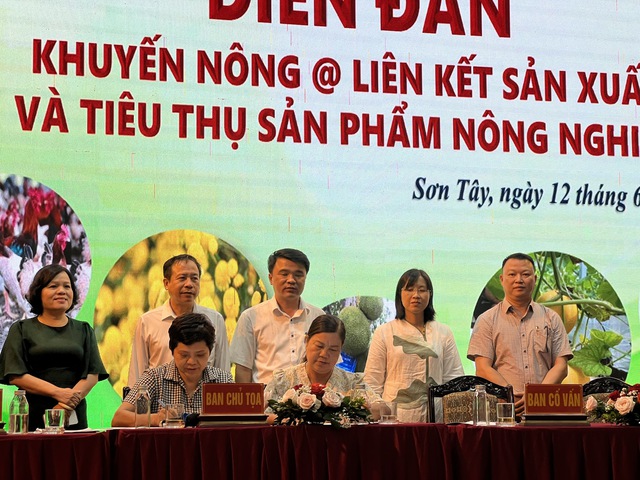 Đẩy mạnh xúc tiến thương mại liên kết sản xuất cùng bà con nông dân- Ảnh 2. Đẩy mạnh xúc tiến thương mại liên kết sản xuất cùng bà con nông dân- Ảnh 2.