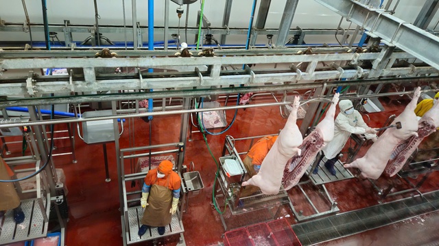 Kiểm tra công tác giết mổ tại công ty cổ phần chăn nuôi CP Việt Nam- Ảnh 3. Kiểm tra công tác giết mổ tại công ty cổ phần chăn nuôi CP Việt Nam- Ảnh 3.