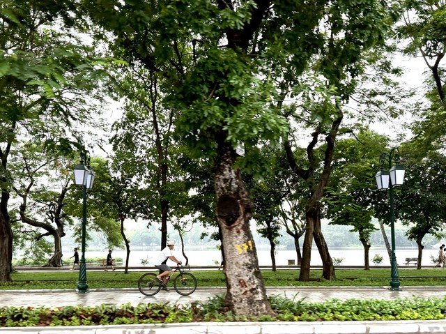 Giải pháp hoàn thiện quy hoạch xanh cho Thủ đô Hà Nội- Ảnh 1. Giải pháp hoàn thiện quy hoạch xanh cho Thủ đô Hà Nội- Ảnh 1.