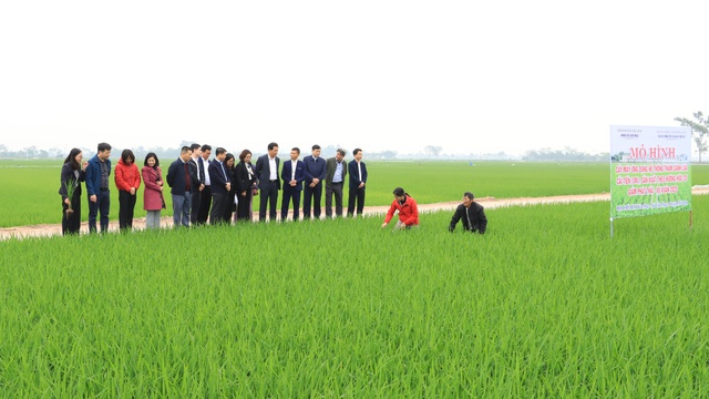 Sáng tạo, đổi mới phát triển nền nông nghiệp xanh và quản lý tài nguyên hiệu quả- Ảnh 2. Sáng tạo, đổi mới phát triển nền nông nghiệp xanh và quản lý tài nguyên hiệu quả- Ảnh 2.