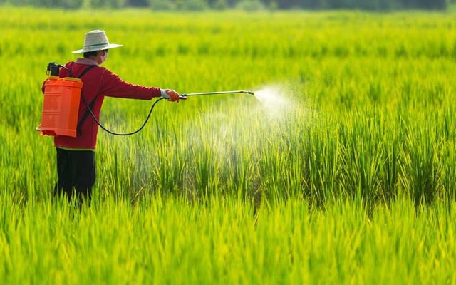 Khẩn trương thực hiện chính quyền địa phương 2 cấp trong nông nghiệp và môi trường- Ảnh 1.