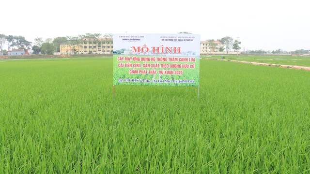 Tăng năng suất, bảo vệ môi trường từ canh tác lúa SRI theo hướng hữu cơ- Ảnh 1. Tăng năng suất, bảo vệ môi trường từ canh tác lúa SRI theo hướng hữu cơ- Ảnh 1.