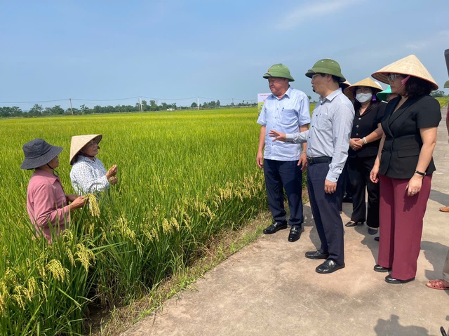 Gia tăng năng suất, nâng cao chất lượng từ canh tác lúa hữu cơ- Ảnh 1.