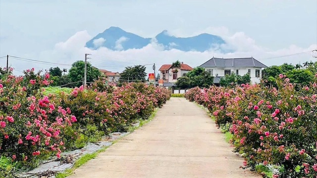 Sở NN&MT: Khẳng định vai trò hạt nhân lãnh đạo, xây dựng Đảng bộ trong sạch vững mạnh- Ảnh 3.