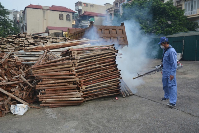 Triển khai đồng bộ giải pháp phòng chống bệnh Chikungunya- Ảnh 1.