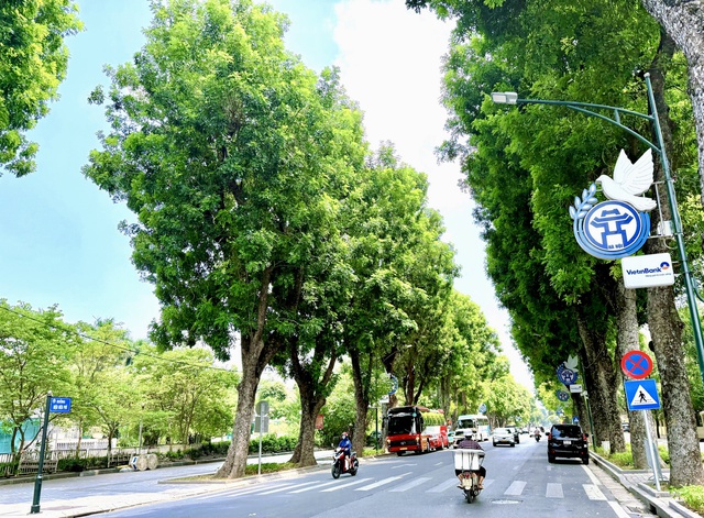 Xây dựng Hà Nội thành đô thị xanh: Giải pháp chiến lược cho hệ thống cây xanh, công viên, vườn hoa- Ảnh 1.