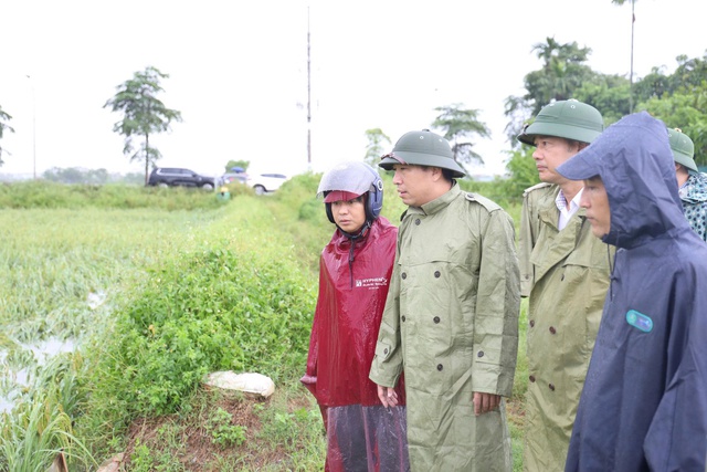 Mực nước sông Tích đã trên mức báo động 2- Ảnh 1.