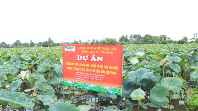 Tái định hình trồng trọt, mở đường cho nông sản Thủ đô bứt phá- Ảnh 1.