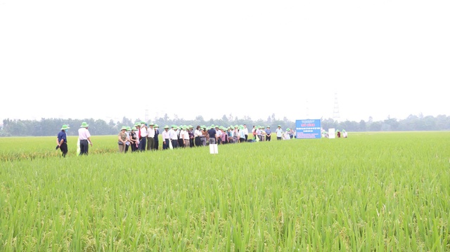 Nông nghiệp Hà Nội 2025: Tăng trưởng từ chiều sâu, bứt phá bằng chất lượng- Ảnh 1.