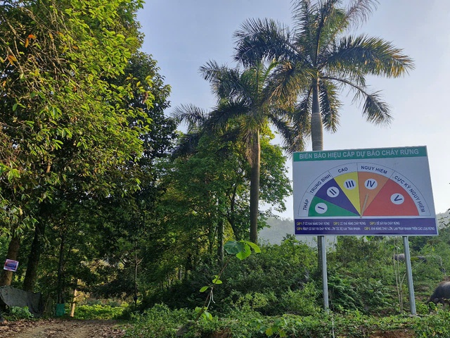 Trồng cây gắn với bảo vệ rừng – nền tảng cho phát triển bền vững Thủ đô- Ảnh 1.