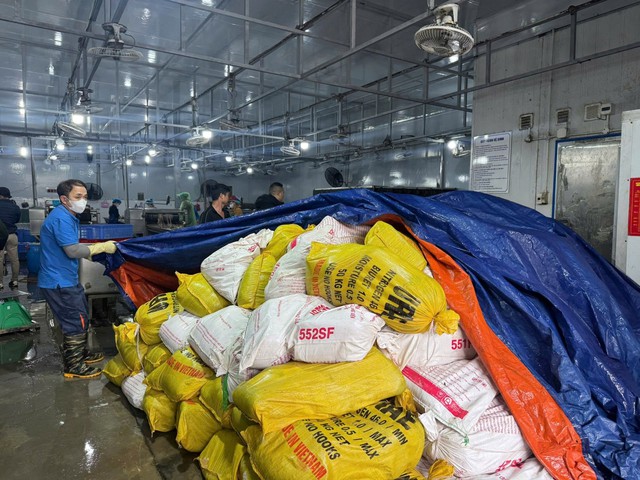 Phát hiện cơ sở trữ, chế biến hàng chục tấn lòng lợn không rõ nguồn gốc- Ảnh 2.