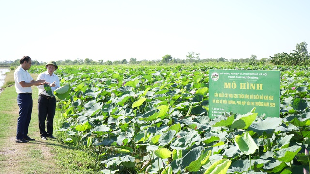 Phát triển kinh tế tập thể, hợp tác xã thành phố Hà Nội năm 2027- Ảnh 1.