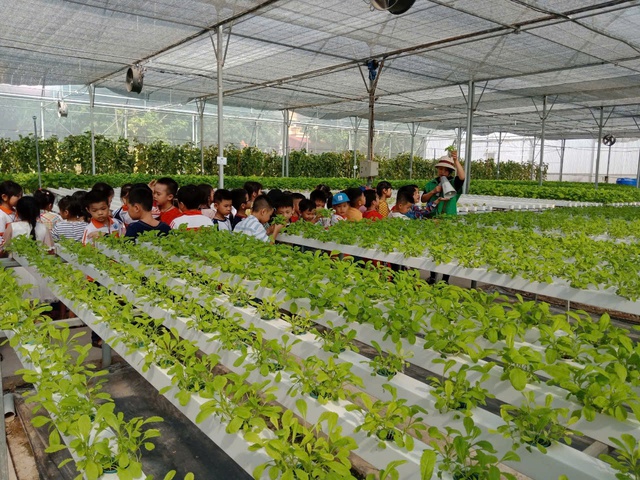 Đẩy mạnh tuyên truyền, giám sát nông sản an toàn giai đoạn 2026 – 2030- Ảnh 1.