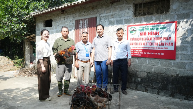 Phát triển chăn nuôi gia cầm an toàn gắn với liên kết tiêu thụ - Ảnh 1.