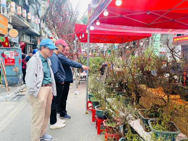 Sắc xuân trên chợ hoa Hàng Lược: ‘Hơi thở’ Tết giữa lòng Hà Nội- Ảnh 3.