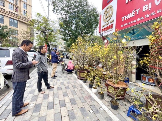 Rực rỡ sắc hoa xuân đón Tết - Ảnh 3.