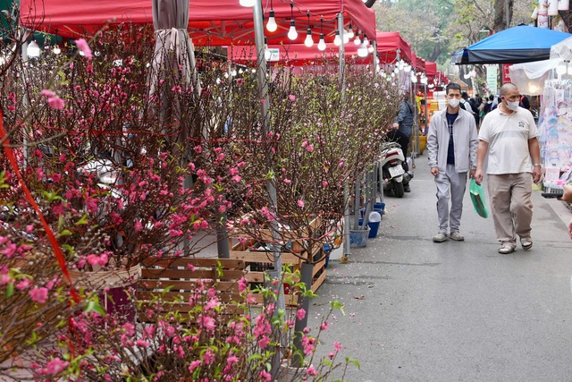 Rực rỡ sắc hoa xuân đón Tết - Ảnh 4.