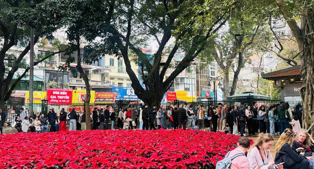 Rộn ràng sắc xuân tại các không gian văn hóa Thủ đô dịp Tết - Ảnh 2.