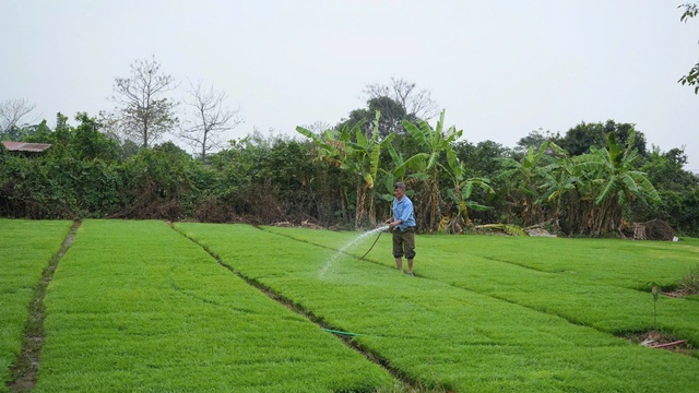 Kiểm tra sản xuất đầu xuân, nông dân khẩn trương gieo cấy vụ Xuân 2026 - Ảnh 3.