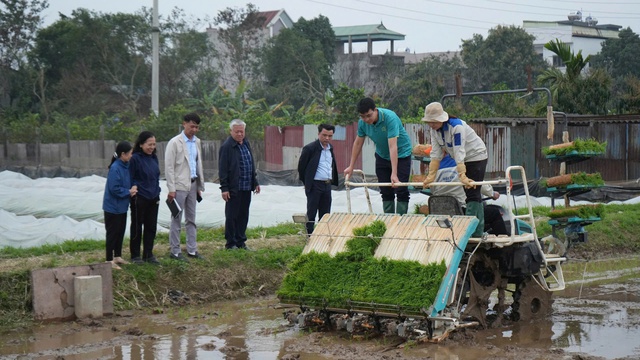 Kiểm tra sản xuất đầu xuân, nông dân khẩn trương gieo cấy vụ Xuân 2026 - Ảnh 2.
