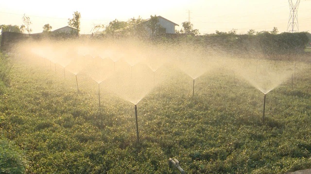 Luật Thủ đô (sửa đổi): Phát triển nông nghiệp công nghệ cao gắn bảo vệ môi trường- Ảnh 1.
