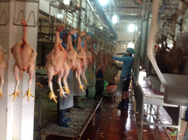 Siết chặt quản lý giết mổ, hướng tới xóa bỏ cơ sở nhỏ lẻ ở ngoại thành - Ảnh 1.