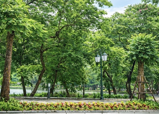 Hà Nội từng bước kiến tạo không gian xanh, hướng tới ‘rừng trong phố, phố trong rừng’- Ảnh 1.