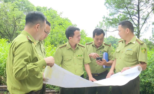 Hà Nội đẩy nhanh tiến độ rà soát đất lâm nghiệp, siết chặt quản lý tài nguyên rừng- Ảnh 1. Hà Nội đẩy nhanh tiến độ rà soát đất lâm nghiệp, siết chặt quản lý tài nguyên rừng- Ảnh 1.