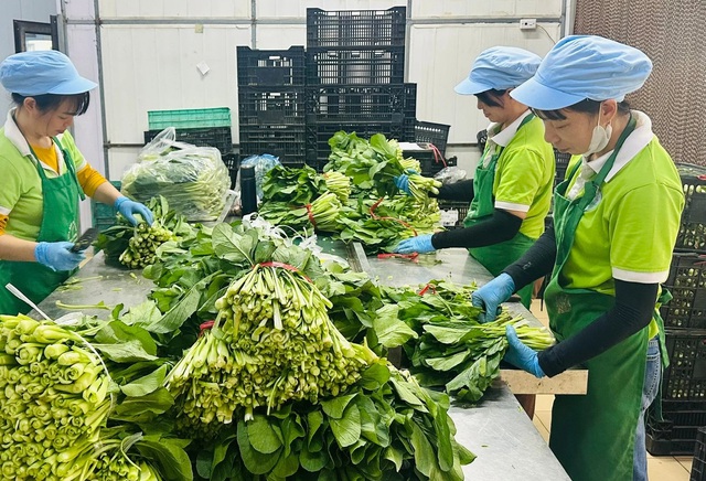 Minh bạch hóa nông sản bằng công nghệ số: Bước ngoặt cho thị trường Thủ đô- Ảnh 2.