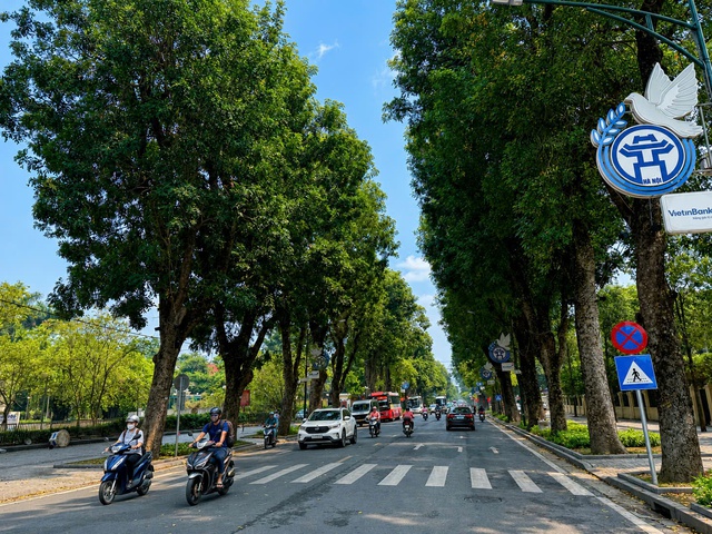 Hà Nội sẽ hỗ trợ người thu nhập thấp đổi xe máy không đạt chuẩn khí thải- Ảnh 1.