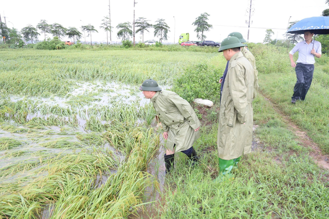 Chủ động ứng phó các loại hình thiên tai cực đoan- Ảnh 1.