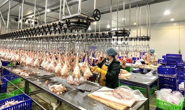 Điều chỉnh mạng lưới cơ sở giết mổ tập trung- Ảnh 1. Điều chỉnh mạng lưới cơ sở giết mổ tập trung- Ảnh 1.