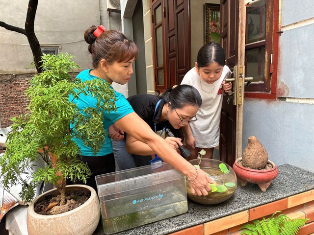 Hà Nội tiếp tục ra quân kiểm tra phòng chống sốt xuất huyết- Ảnh 1.