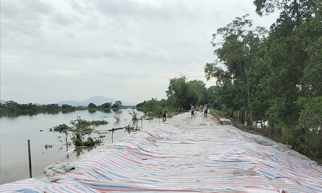 Chủ động ứng phó khi nhiều tuyến sông duy trì mức báo động III- Ảnh 1.