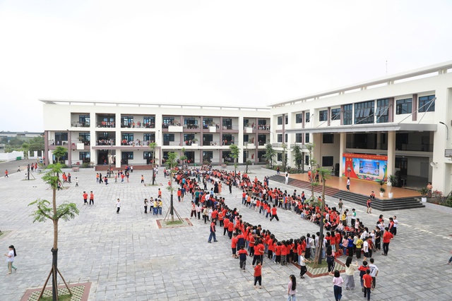 Tổ chức việc dạy và học phù hợp sau khi tinh gọn bộ máy- Ảnh 1.