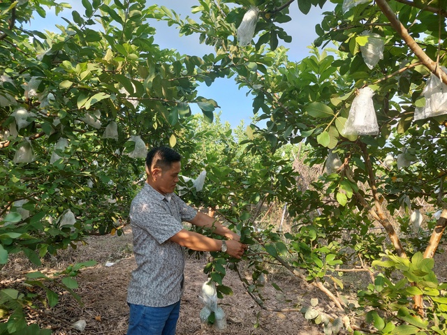 Phát triển nông nghiệp, nông dân, nông thôn gắn với mục tiêu nâng cao đời sống nhân dân- Ảnh 1.