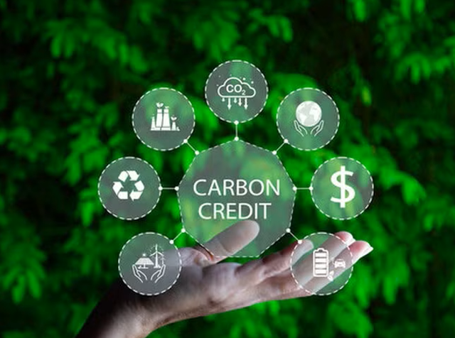 Hà Nội chủ động kiểm soát phát thải khí nhà kính, tham gia thị trường carbon- Ảnh 1.